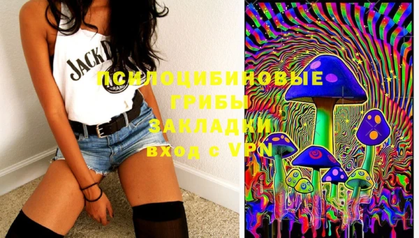 бошки Лихославль